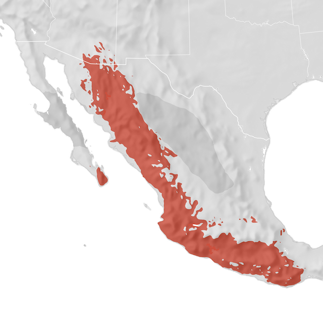 Range Map