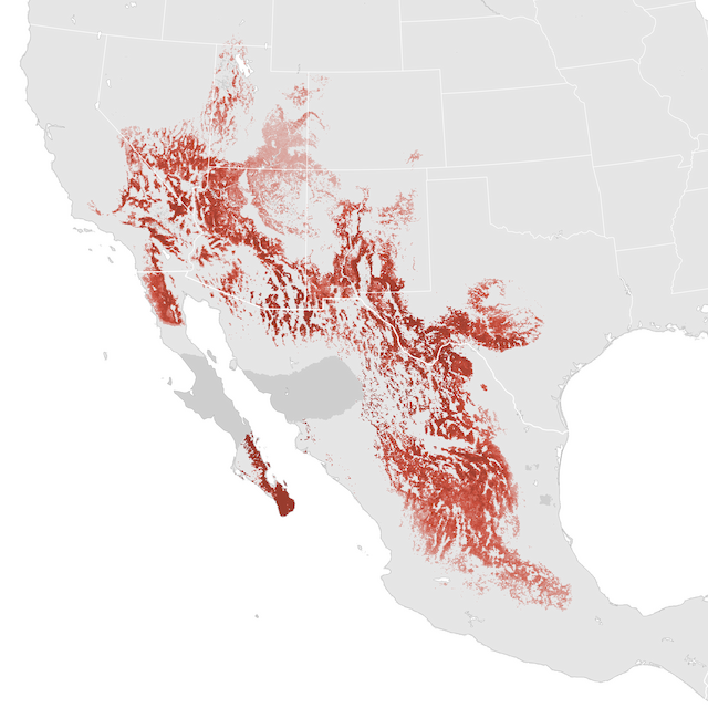Abundance Map