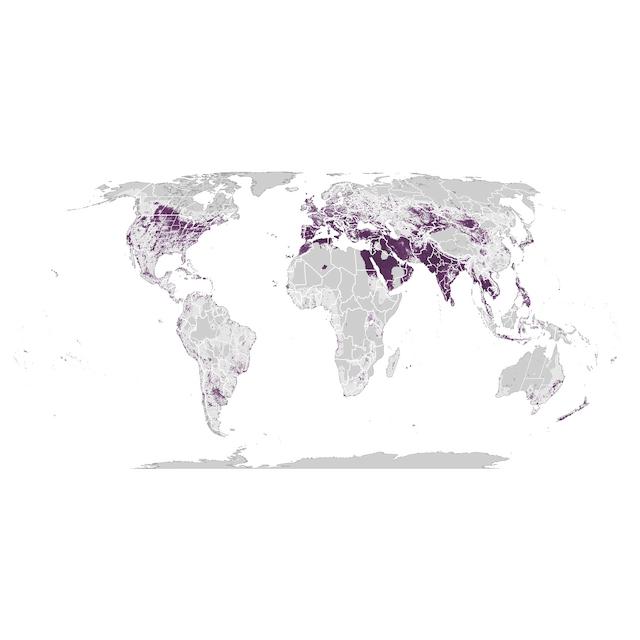 Abundance Map