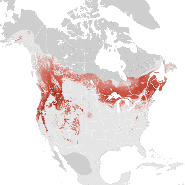Abundance Map