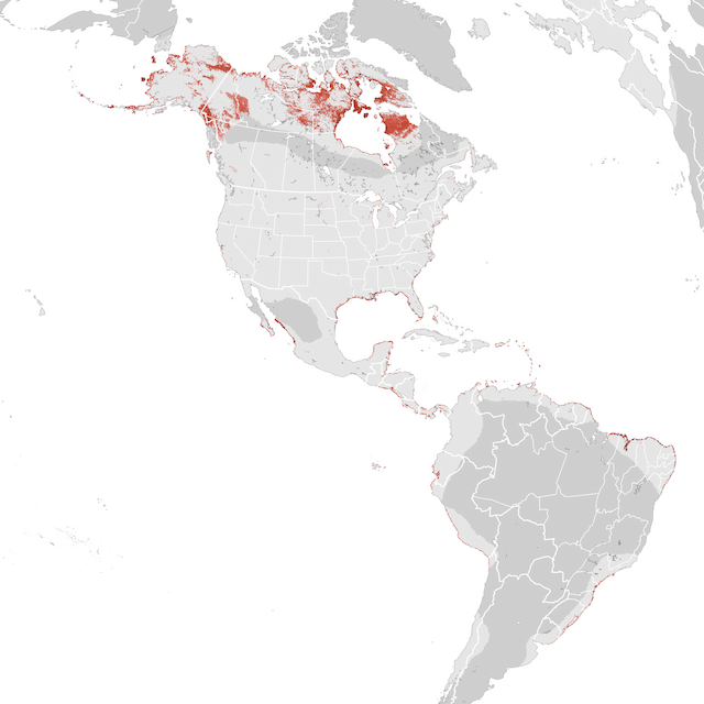 Abundance Map