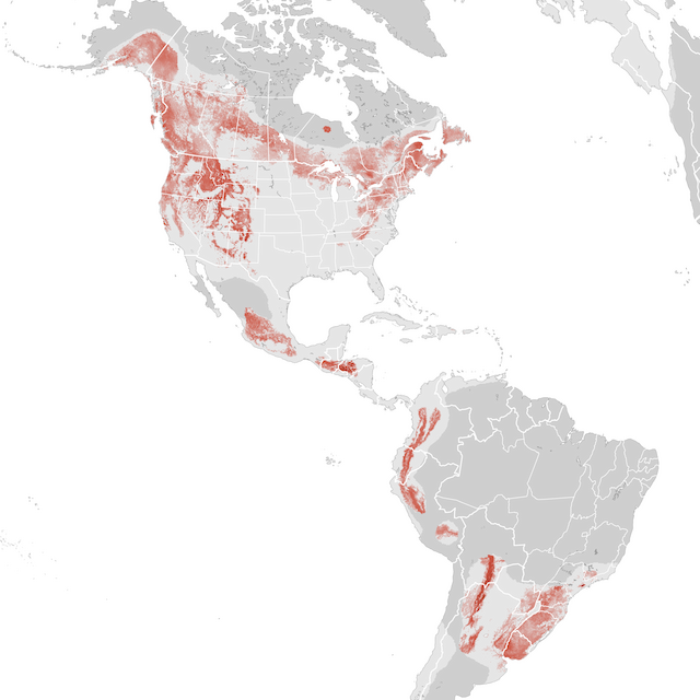 Abundance Map