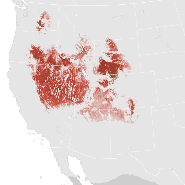 Abundance Map