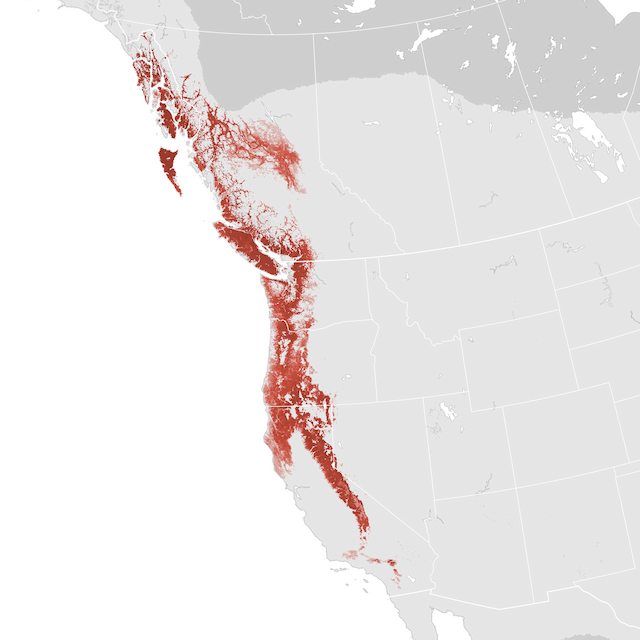 Abundance Map