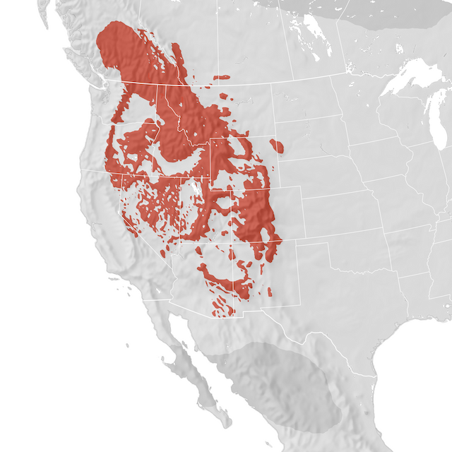 Range Map