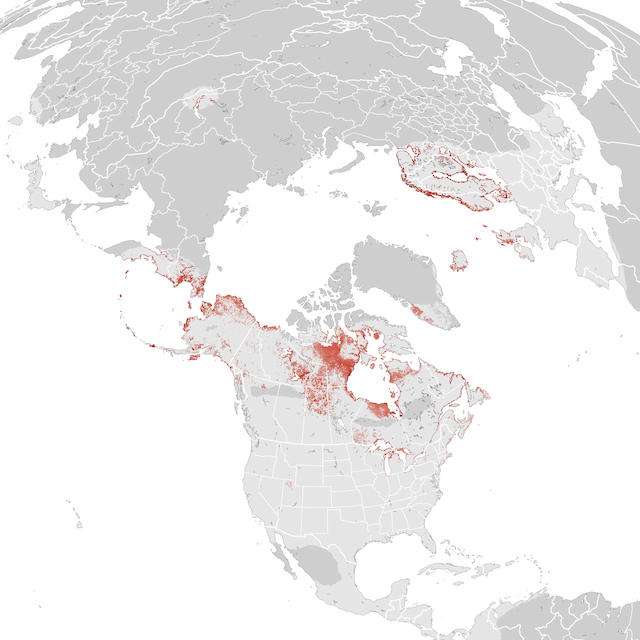 Abundance Map