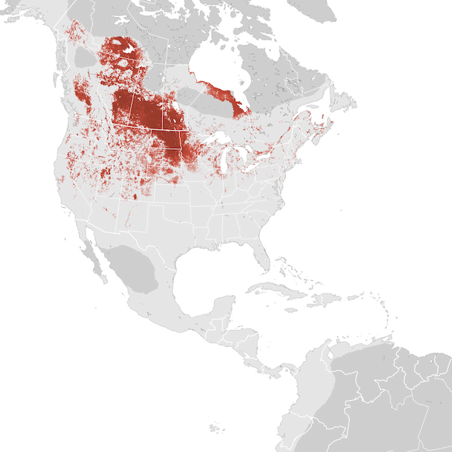 Abundance Map