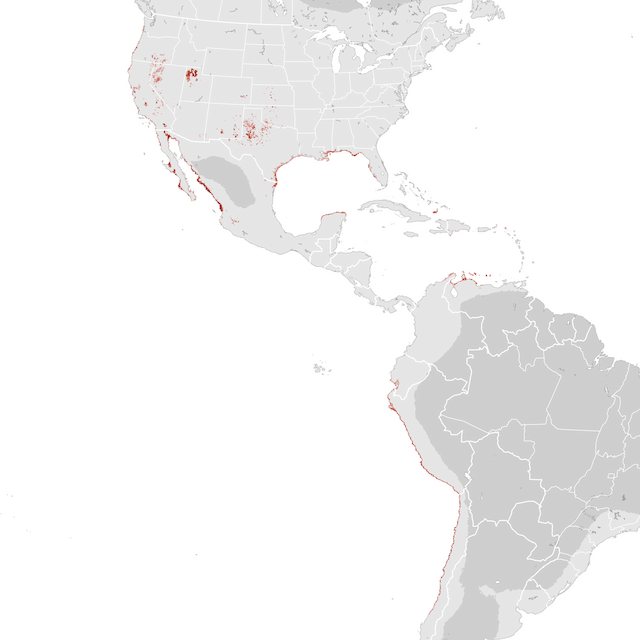 Abundance Map