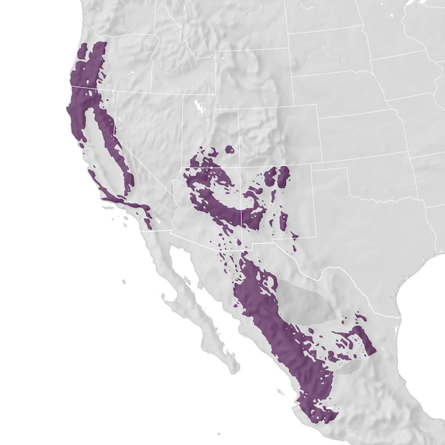 Range Map