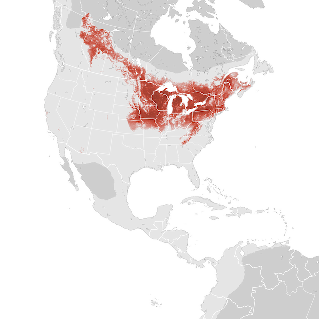 Abundance Map