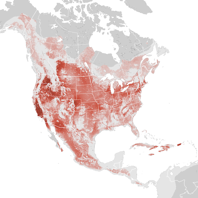 Abundance Map