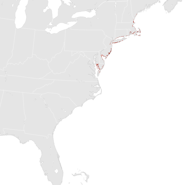 Abundance Map