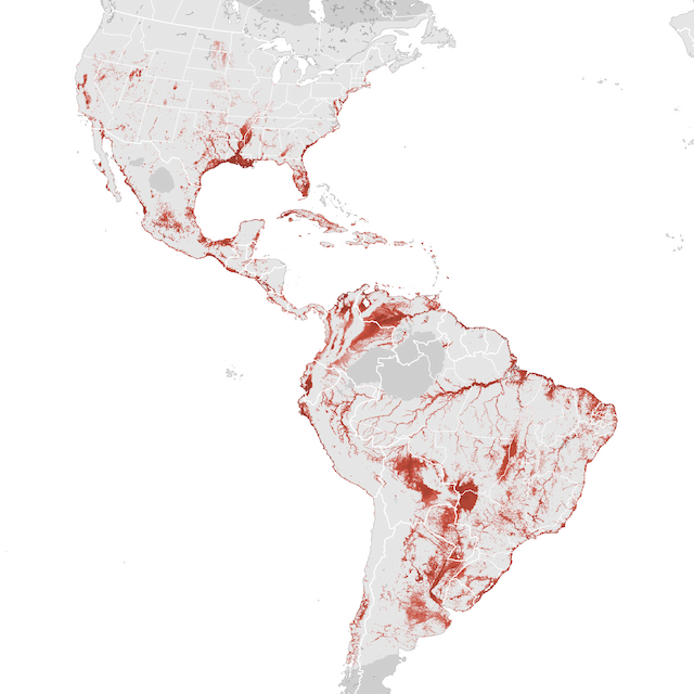 Abundance Map