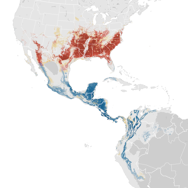 Abundance Map