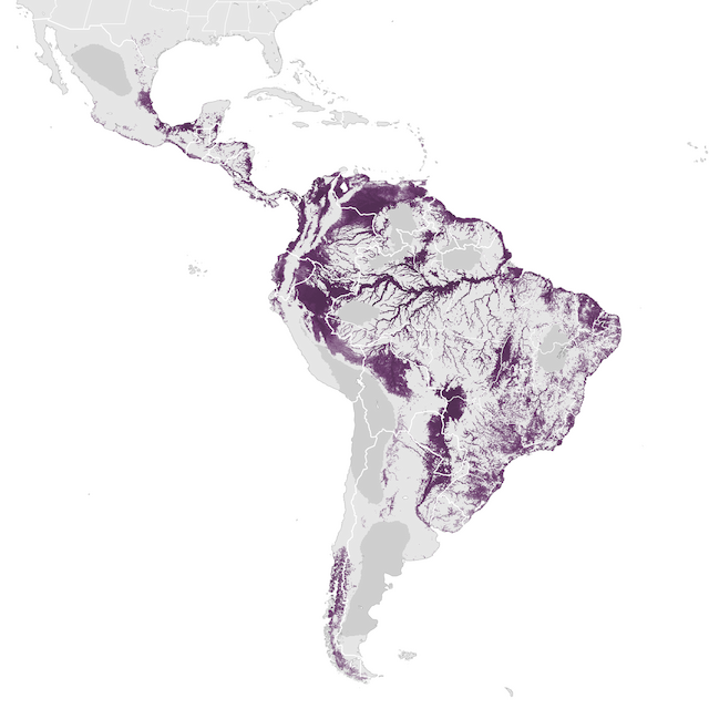 Abundance Map