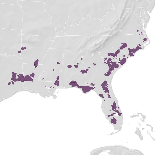 Range Map