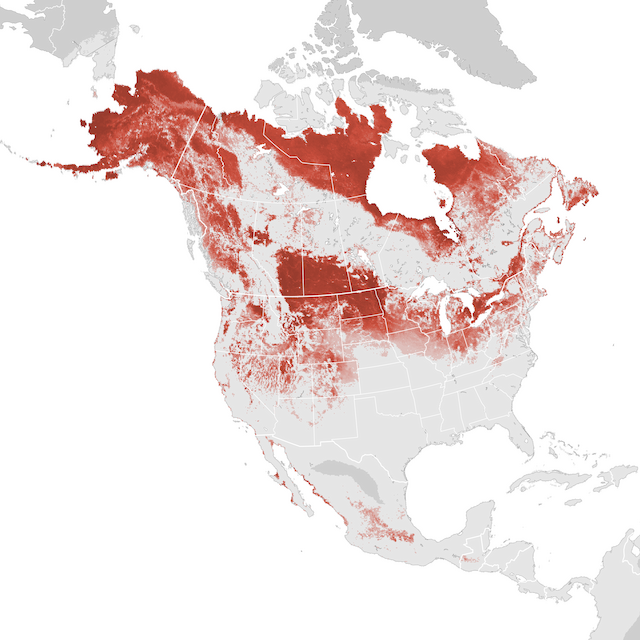 Abundance Map