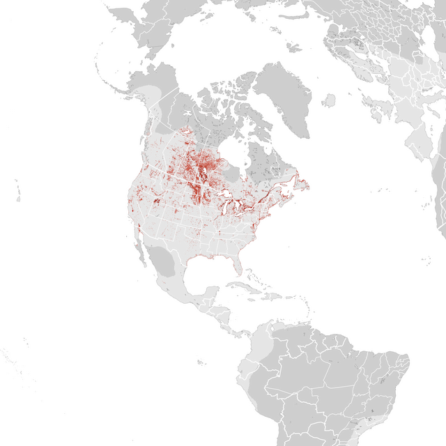 Abundance Map