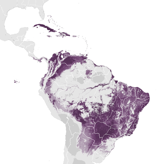 Abundance Map