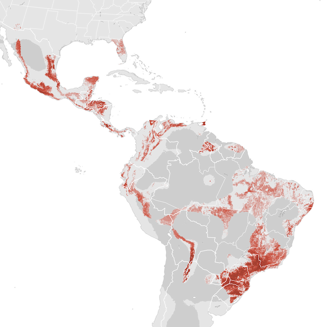 Abundance Map