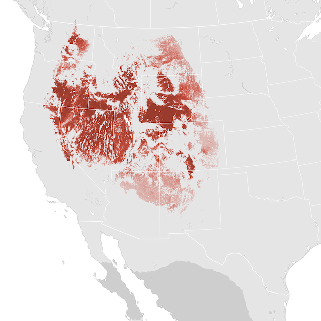 Abundance Map