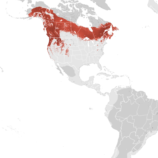 Abundance Map