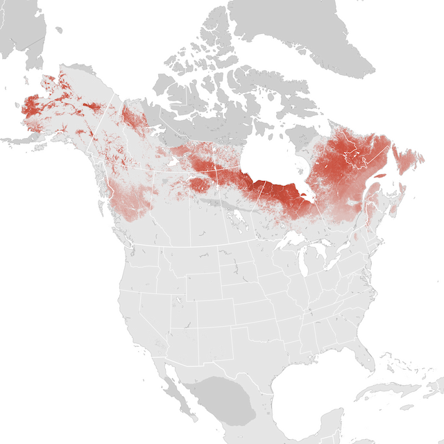 Abundance Map