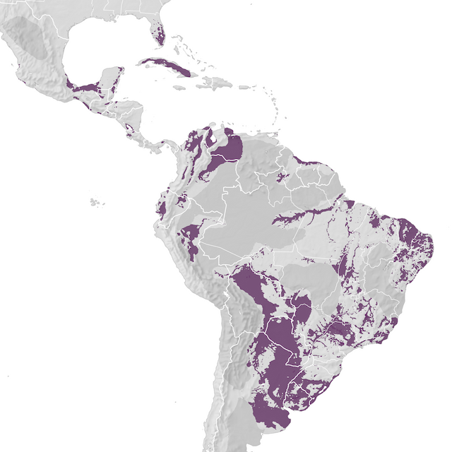 Range Map