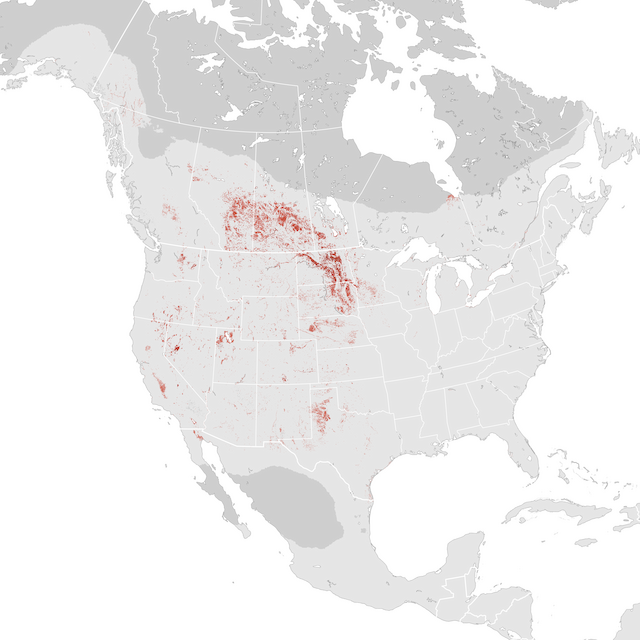 Abundance Map