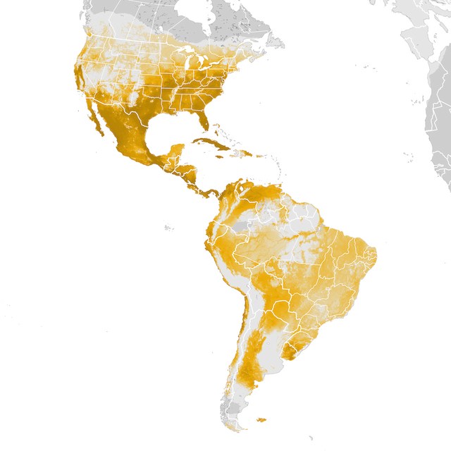 Abundance Map