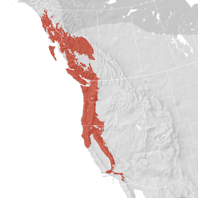 Range Map