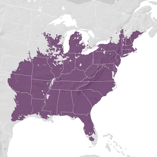 Range Map