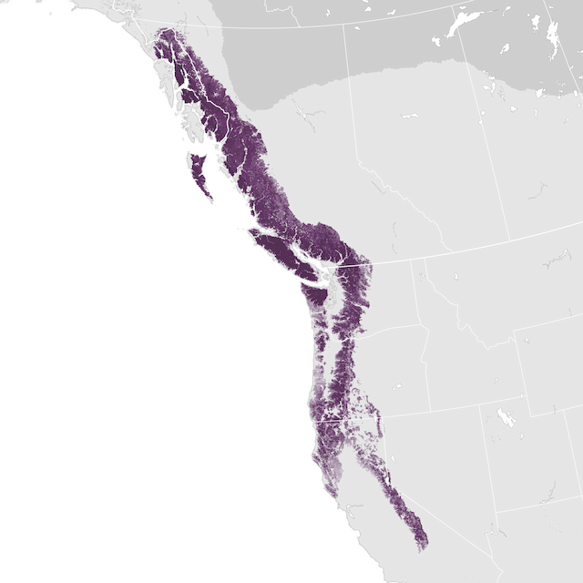 Abundance Map