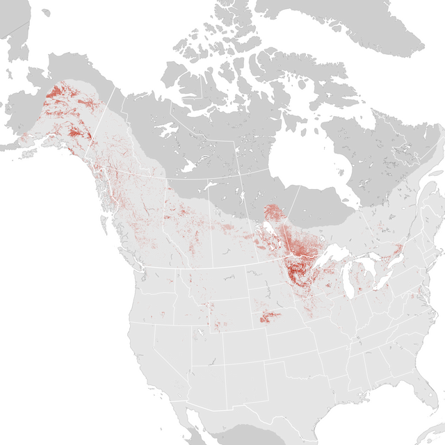 Abundance Map