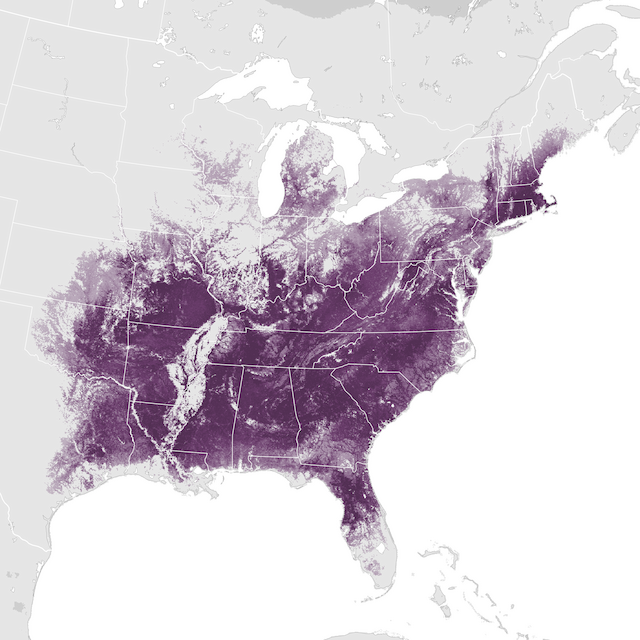 Abundance Map