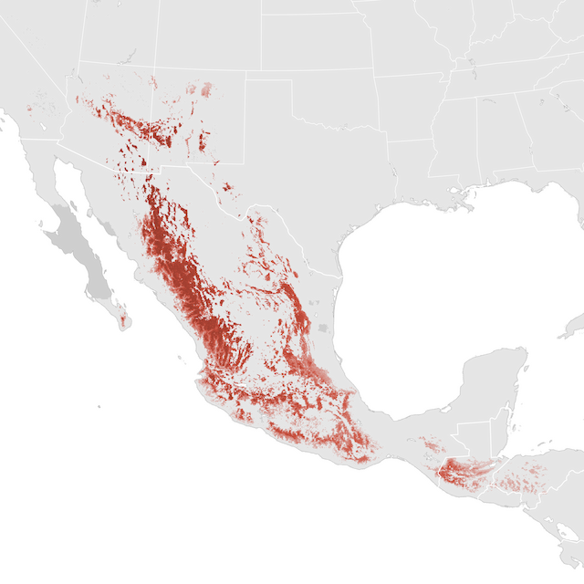 Abundance Map