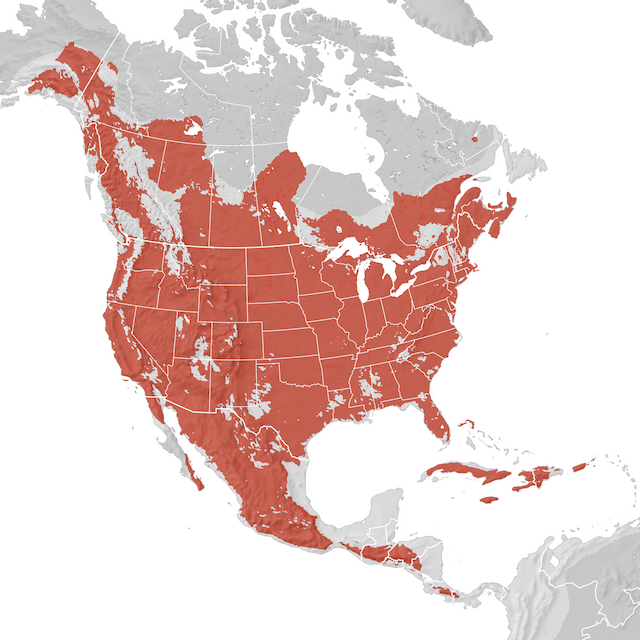 Range Map