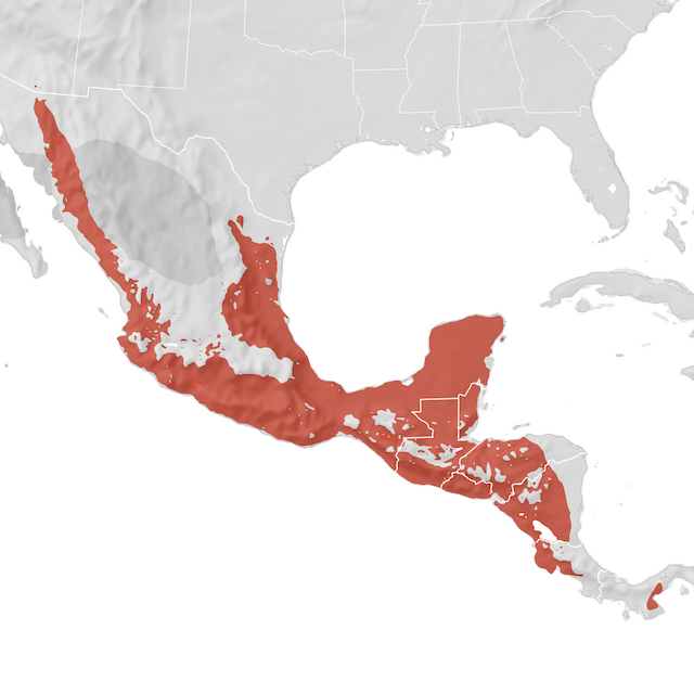 Range Map
