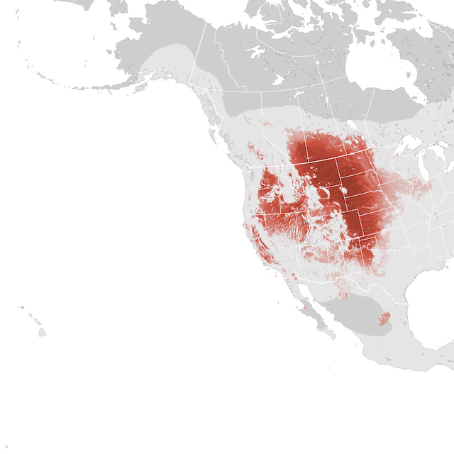 Abundance Map