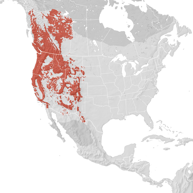 Range Map