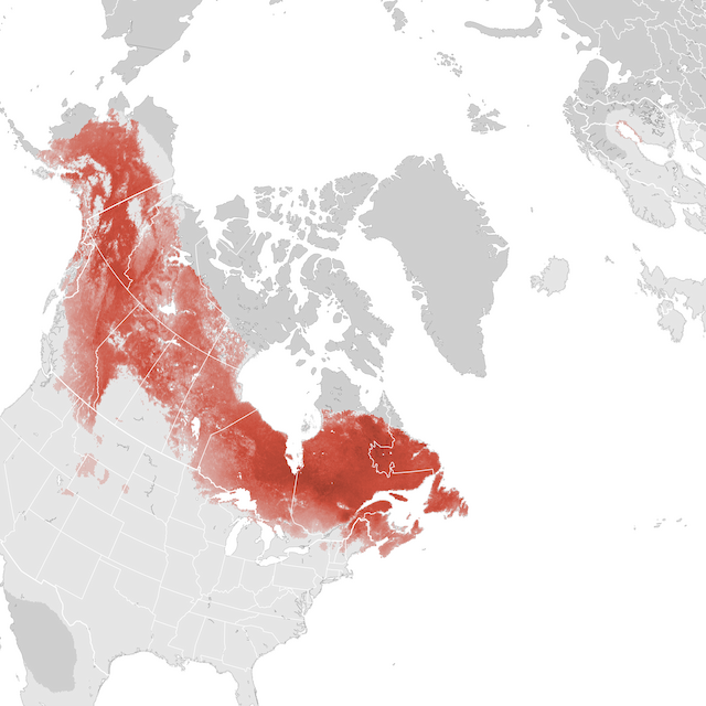 Abundance Map