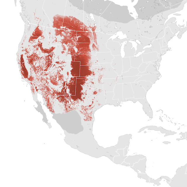 Abundance Map