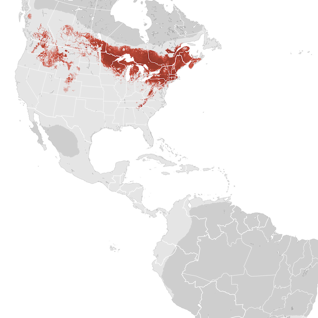 Abundance Map