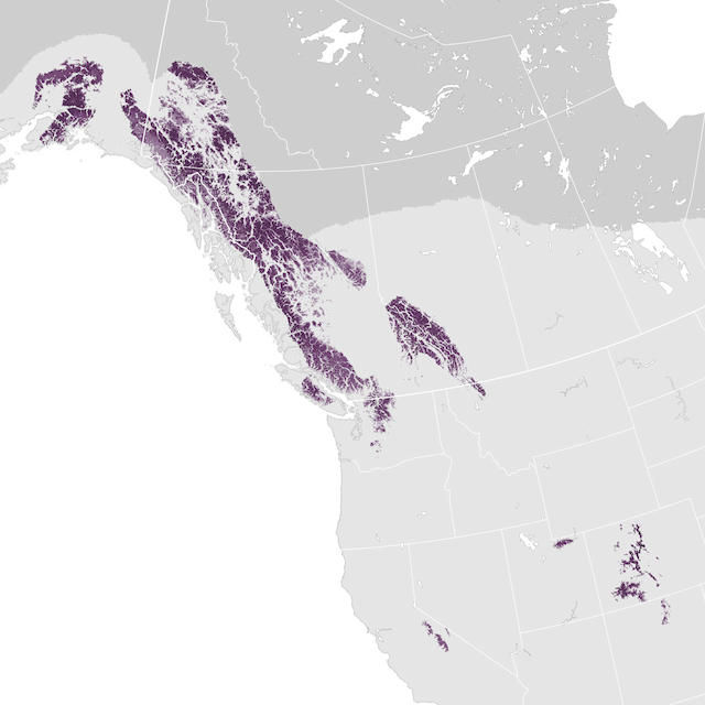 Abundance Map