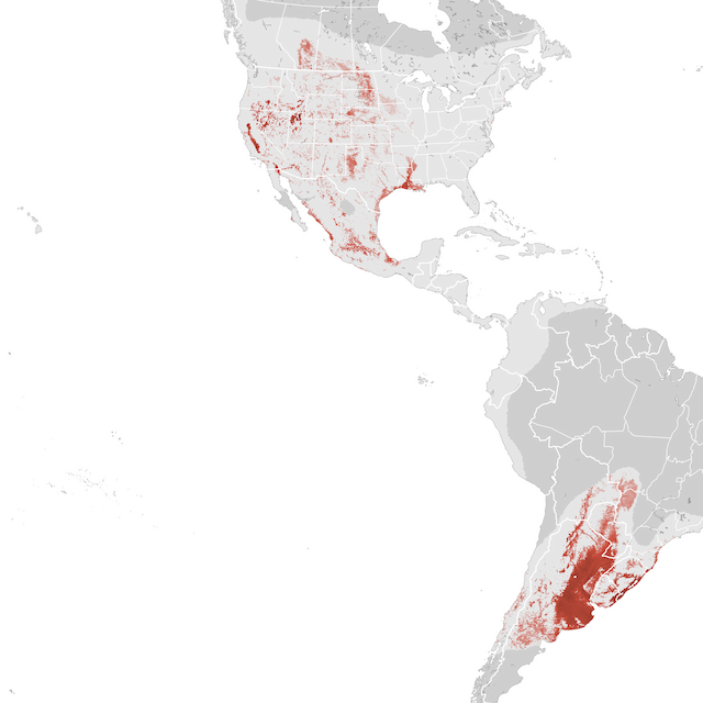 Abundance Map
