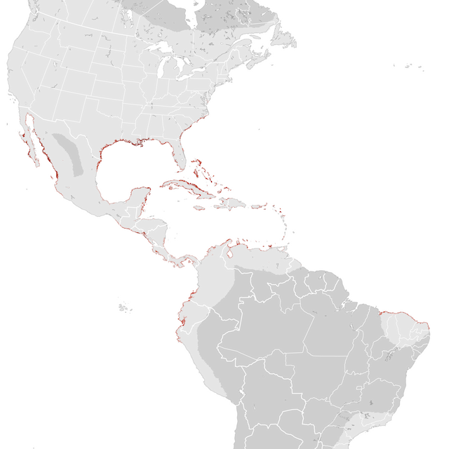Abundance Map
