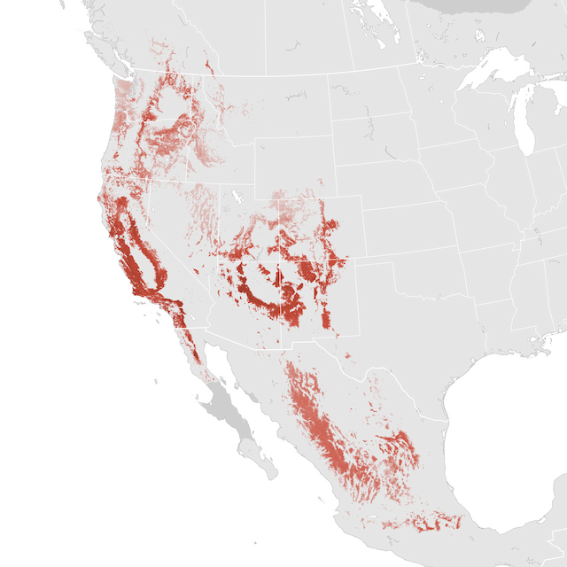 Abundance Map