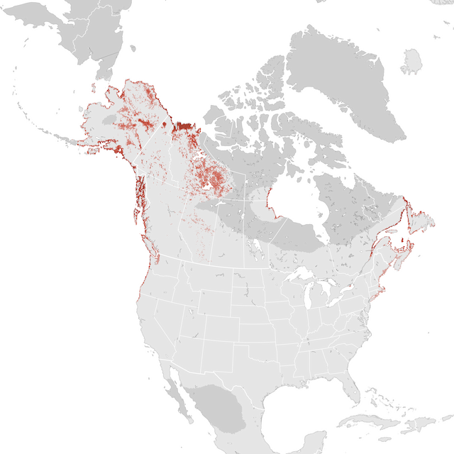 Abundance Map