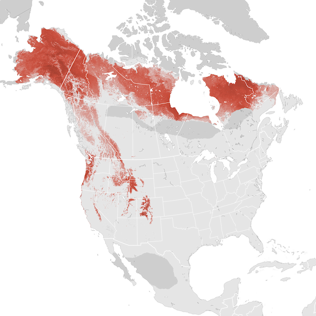 Abundance Map
