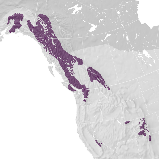 Range Map